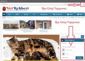 Yazı Ekleme Rehberi