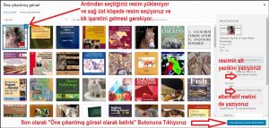 Yazı Ekleme Rehberi